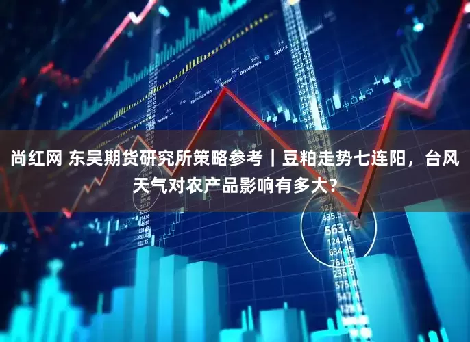 尚红网 东吴期货研究所策略参考｜豆粕走势七连阳，台风天气对农产品影响有多大？